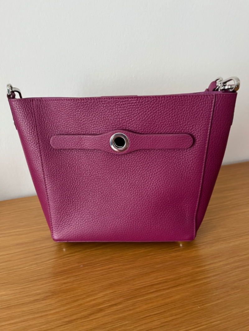 Mini S in Cheri with silver hardware