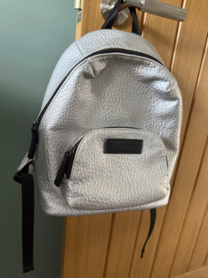 Mini Elwood Silver Kids Backpack