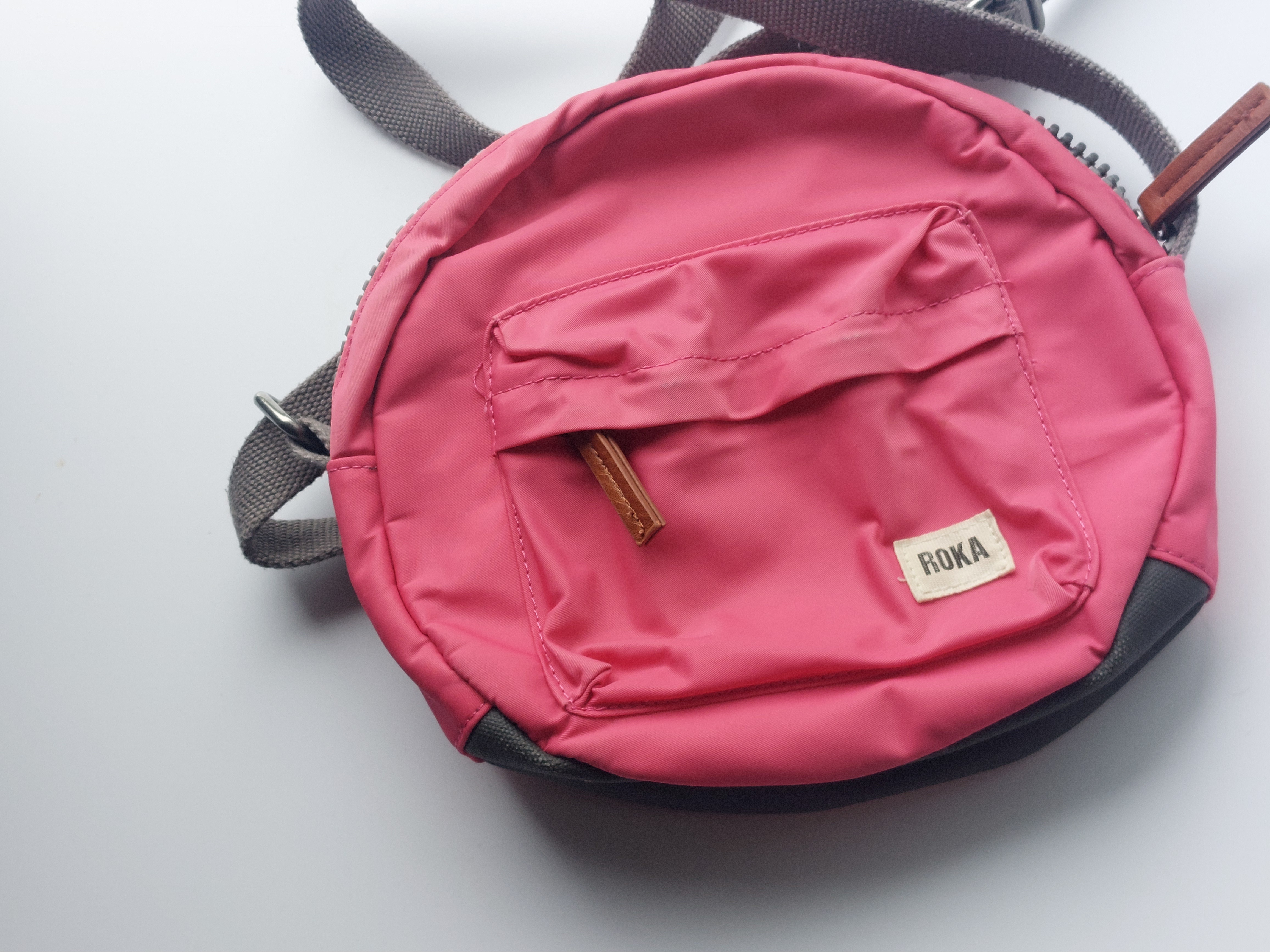 Paddington in pink