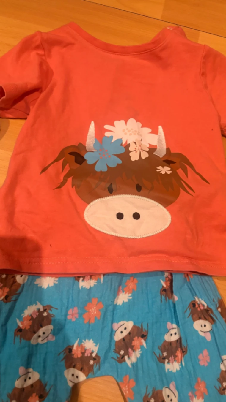 Bonnie Highland Cow Bundle 