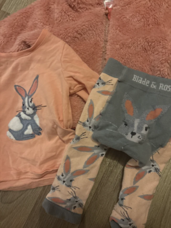 Mollie Rose the Bunny Bundle 6-12 months 