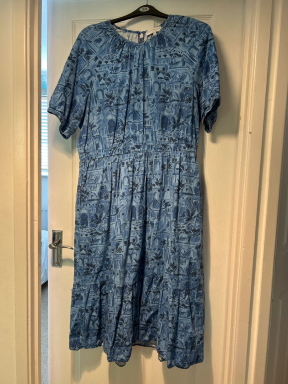 Blue Scenery Rouched Dress - Curve