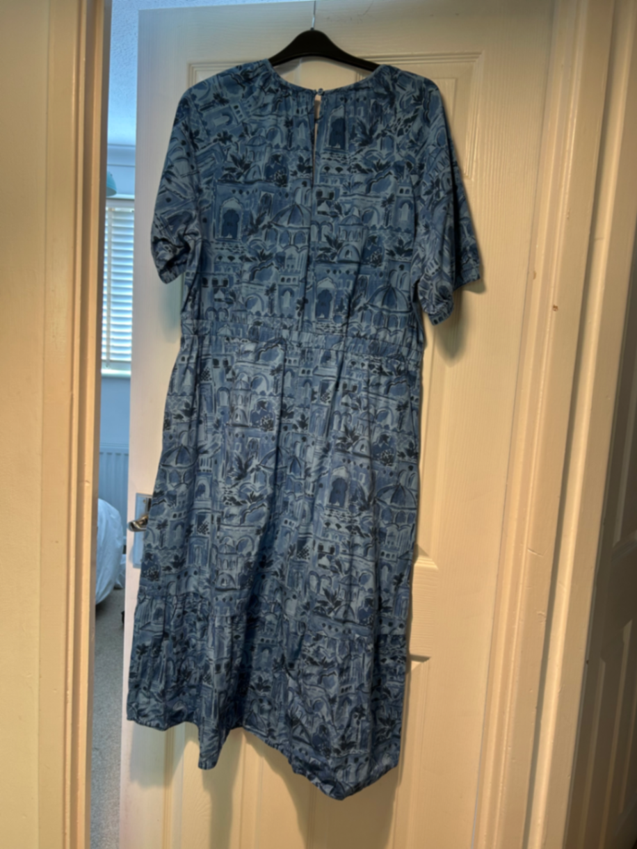 Blue Scenery Rouched Dress - Curve