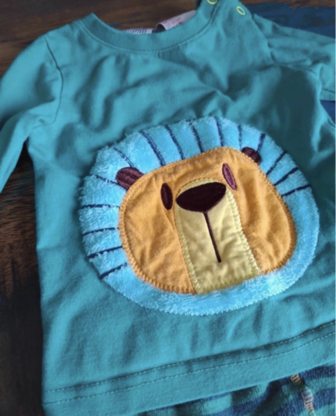 Lion stripe set
