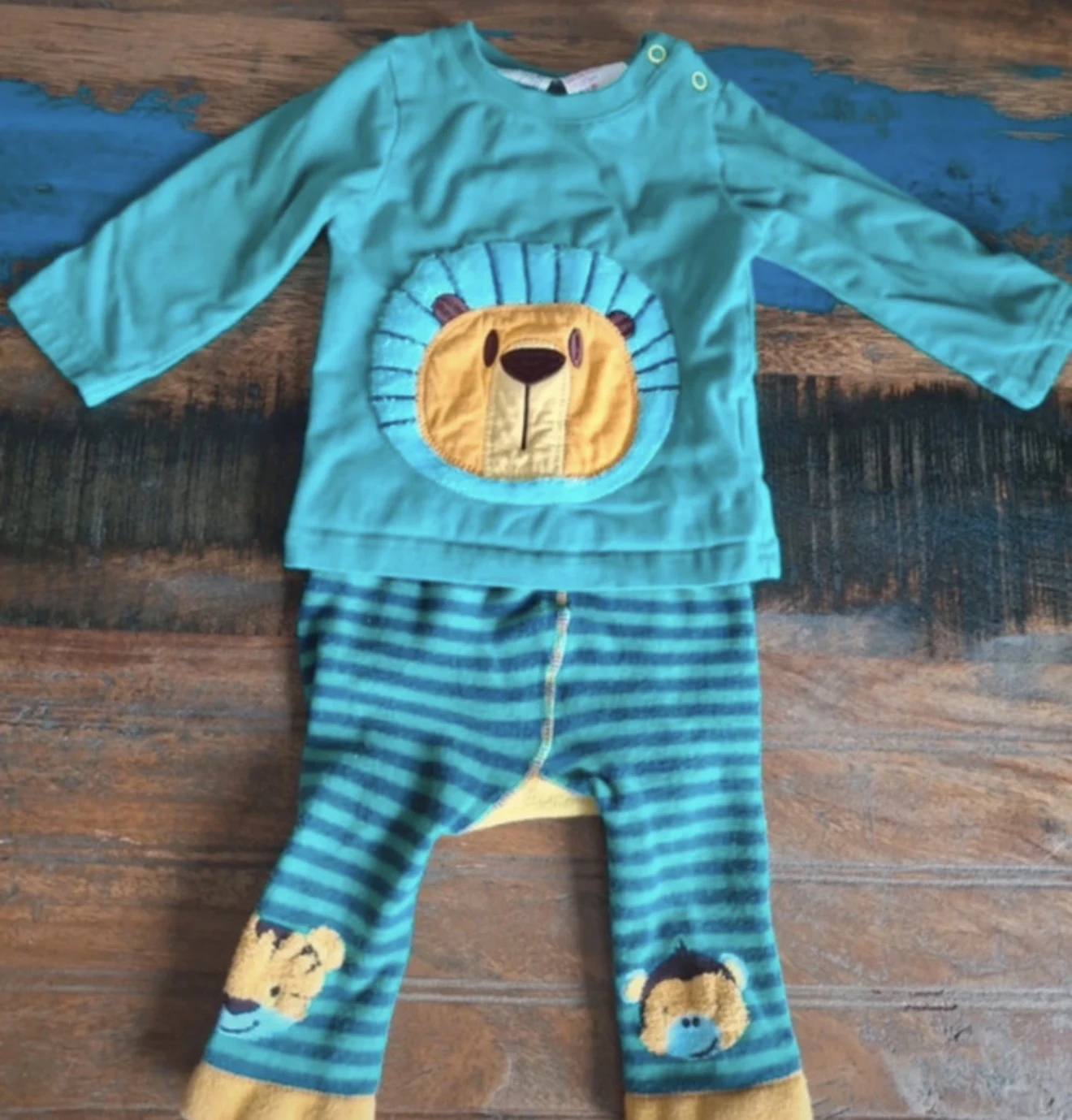 Lion stripe set