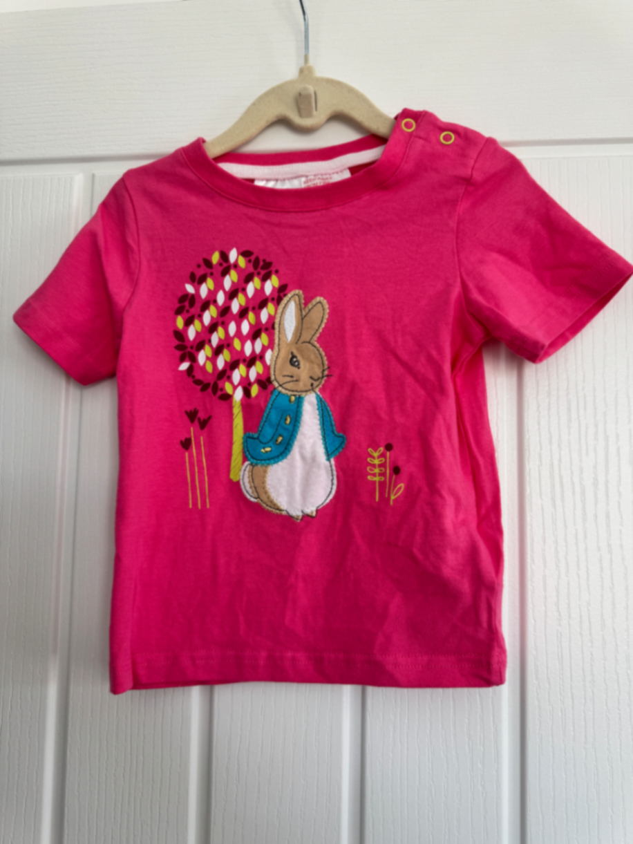 Peter Rabbit Springtime Summer Tee