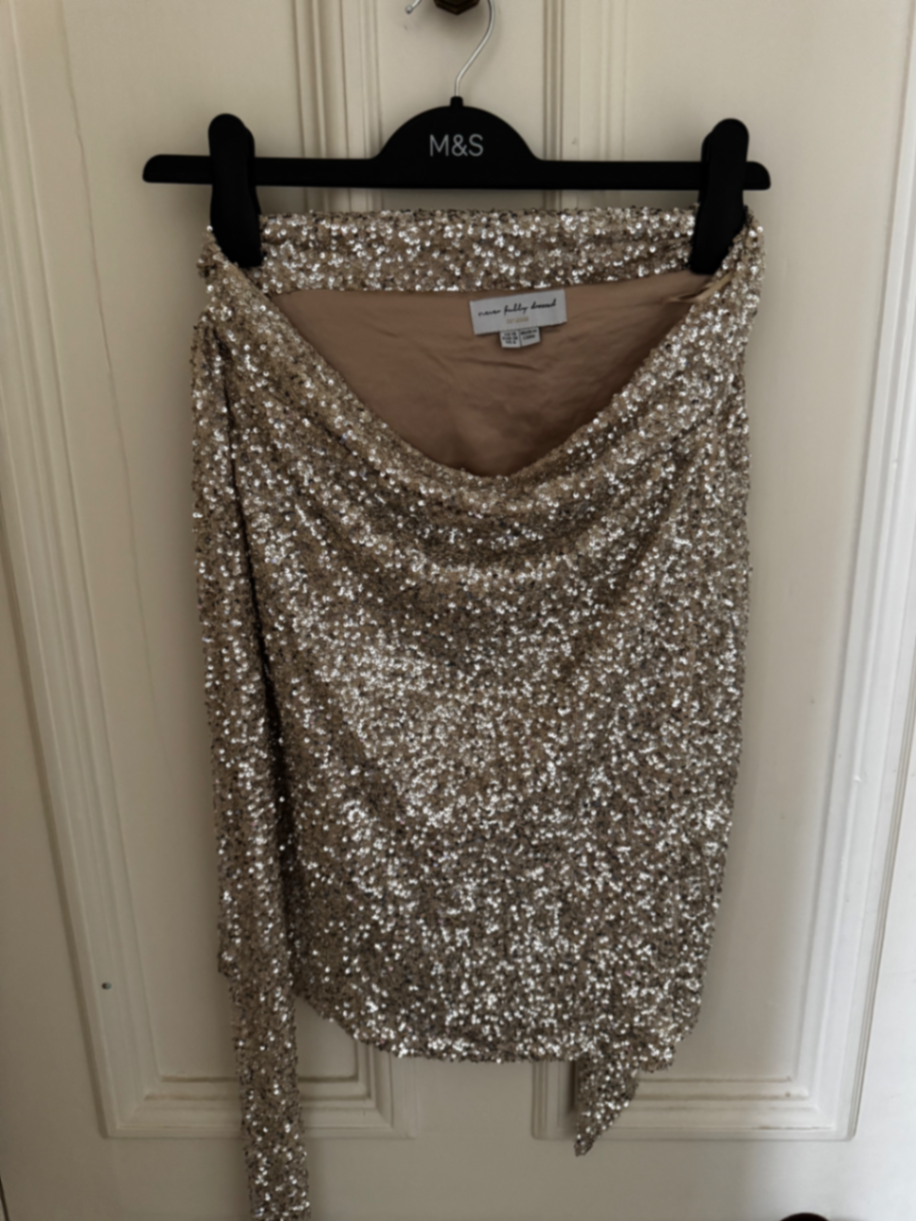 Jesper silver skirt