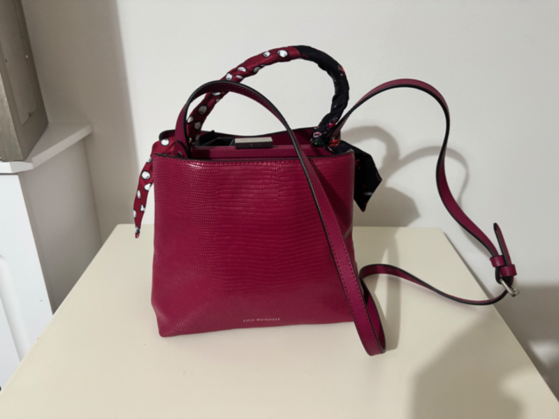 Raspberry Small Dylan Bag