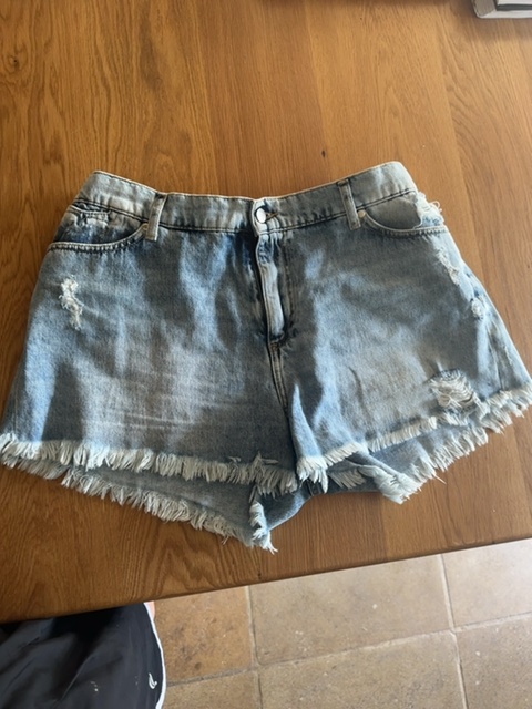 Annelise the ultimate vintage shorts 