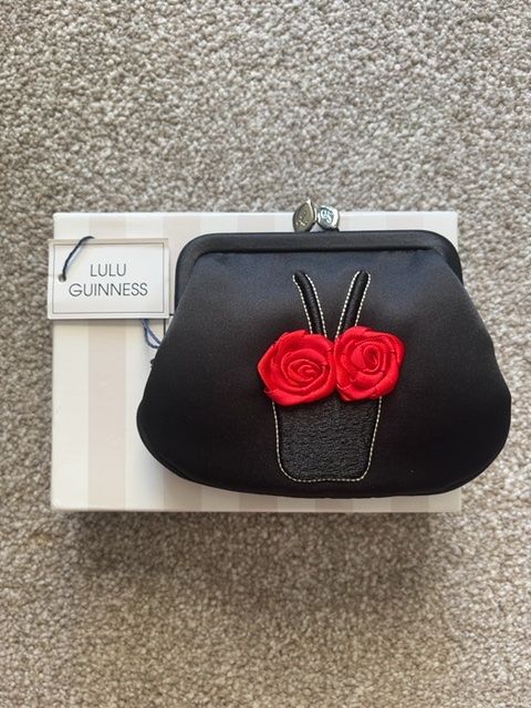Lulu’s Shop Mini Frame Purse