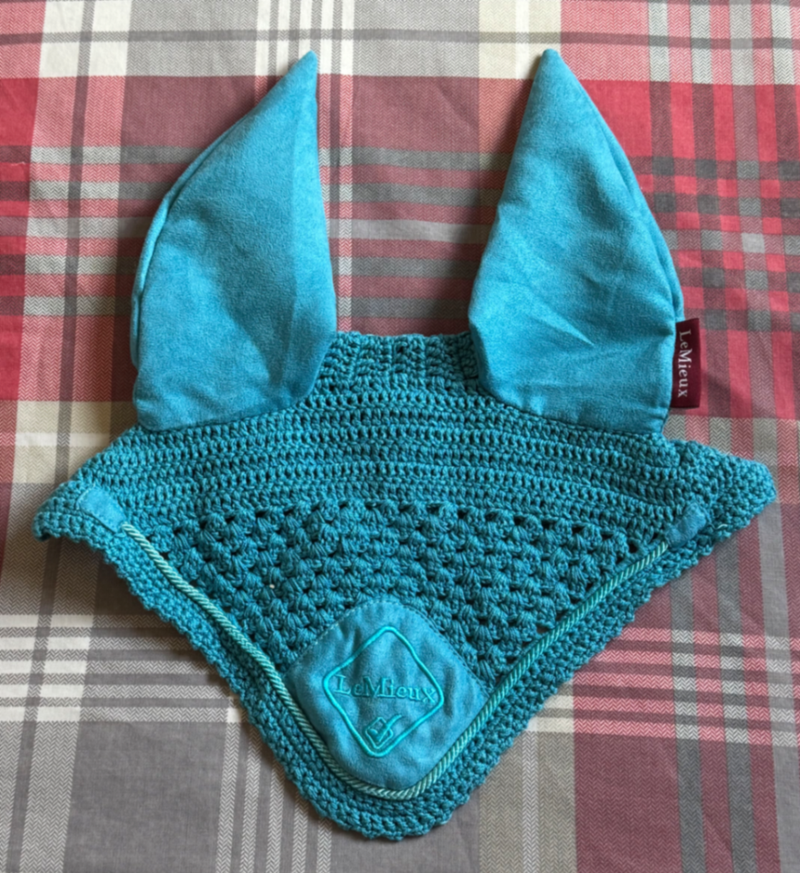 Teal XL fly veil