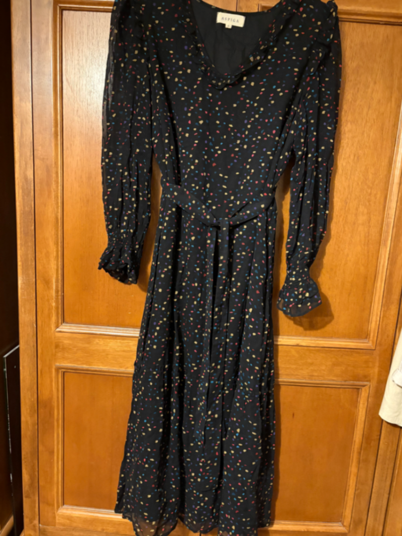 Aspiga Polka Dot Dress