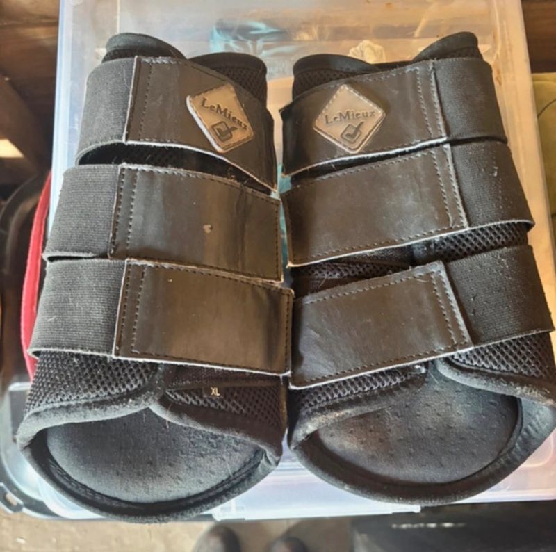 XL brushing boots 