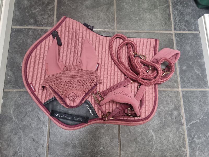 Orchid suede set