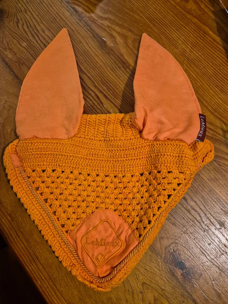 Orange ear bonnet