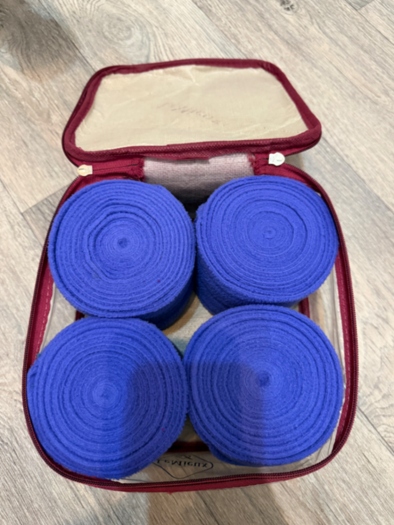 Blueberry bandages set of 4