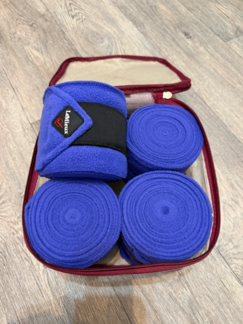Blueberry bandages set of 4