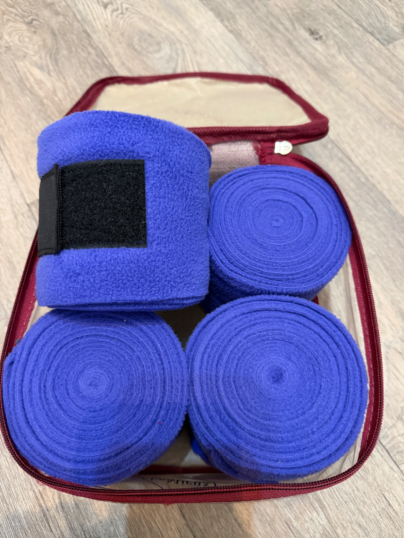 Blueberry bandages set of 4