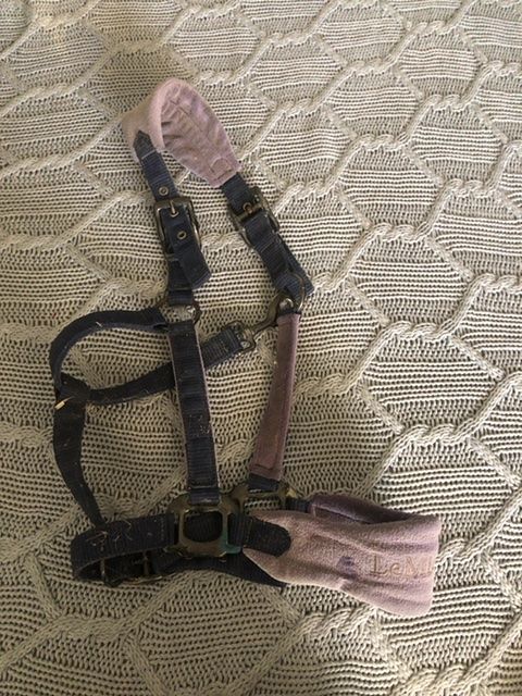 LeMieux Leather Body Protector Harness