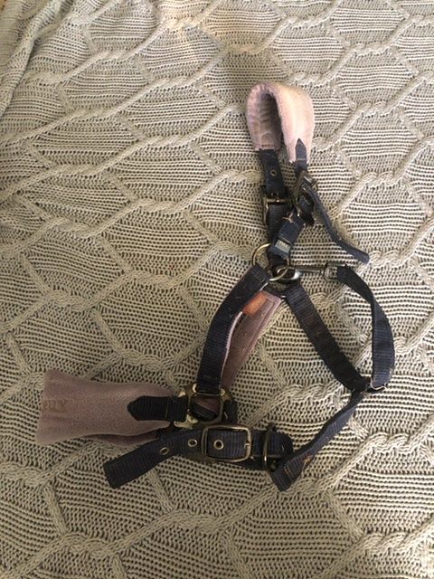 LeMieux Leather Body Protector Harness