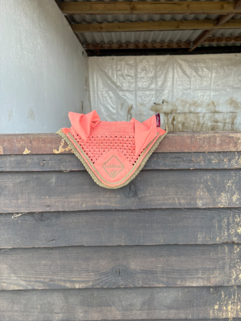 Sorbet fly hood