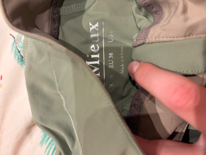 fern baselayer 