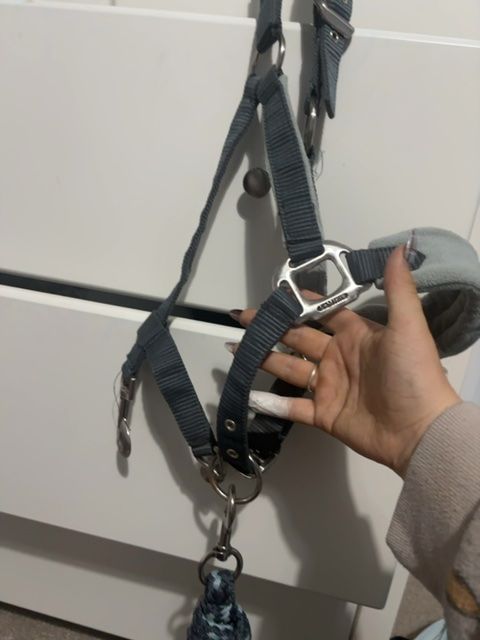 LeMieux Glacier Headcollar with Lead Rope