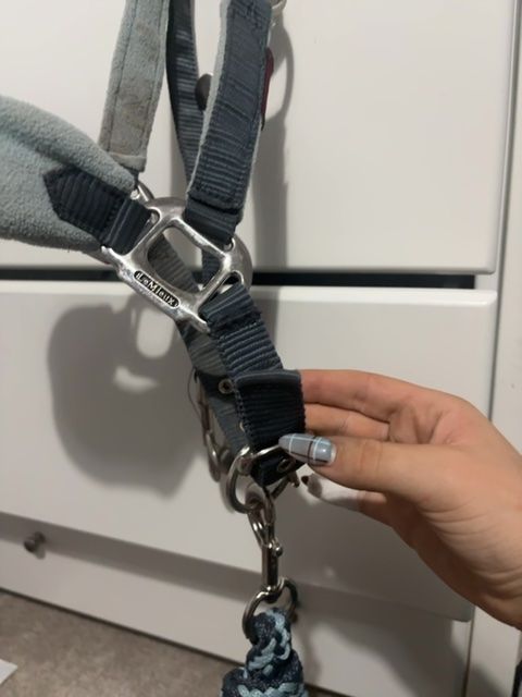 LeMieux Glacier Headcollar with Lead Rope