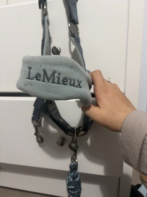 LeMieux Glacier Headcollar with Lead Rope