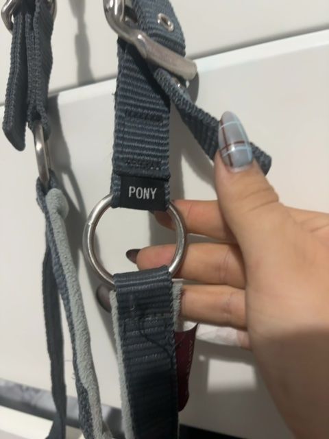 LeMieux Glacier Headcollar with Lead Rope