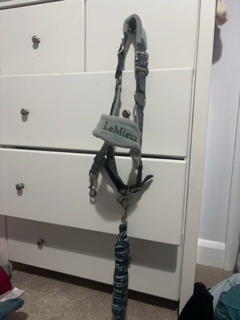 LeMieux Glacier Headcollar with Lead Rope