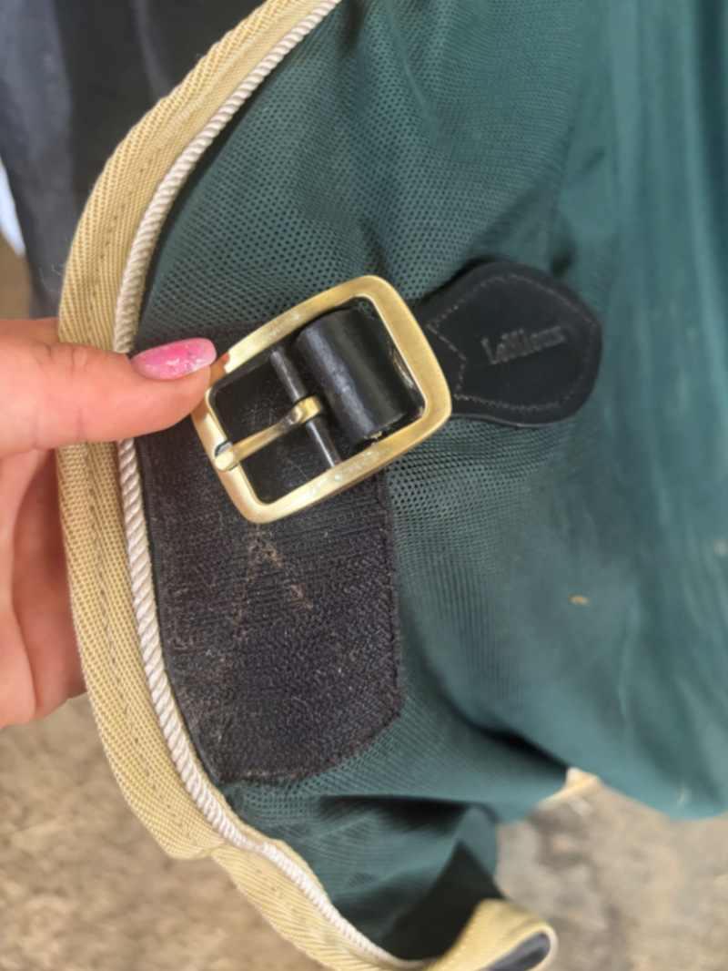 Green travel cooler