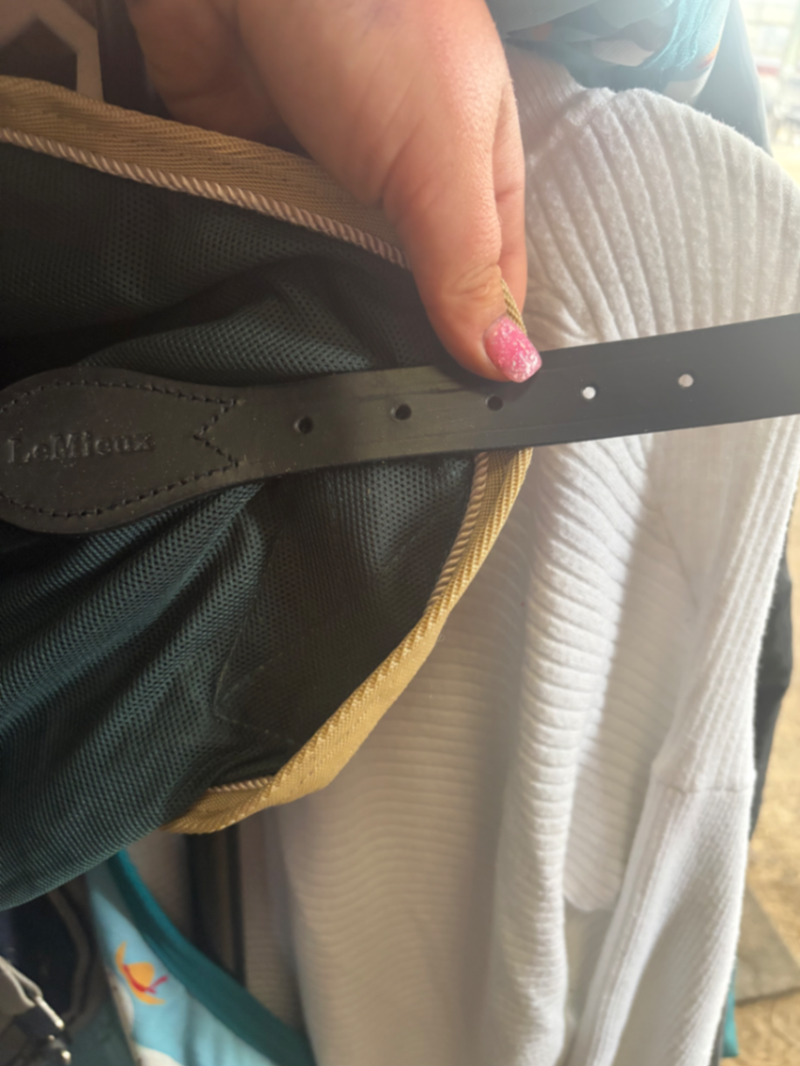 Green travel cooler