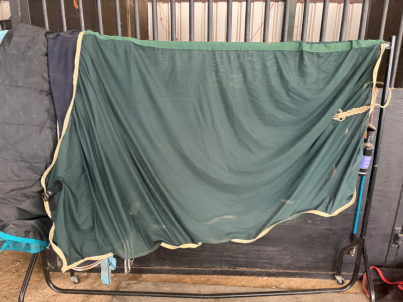 Green travel cooler