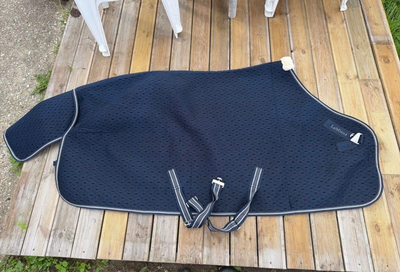 Lemieux Kudos 3D Mesh Travel Rug