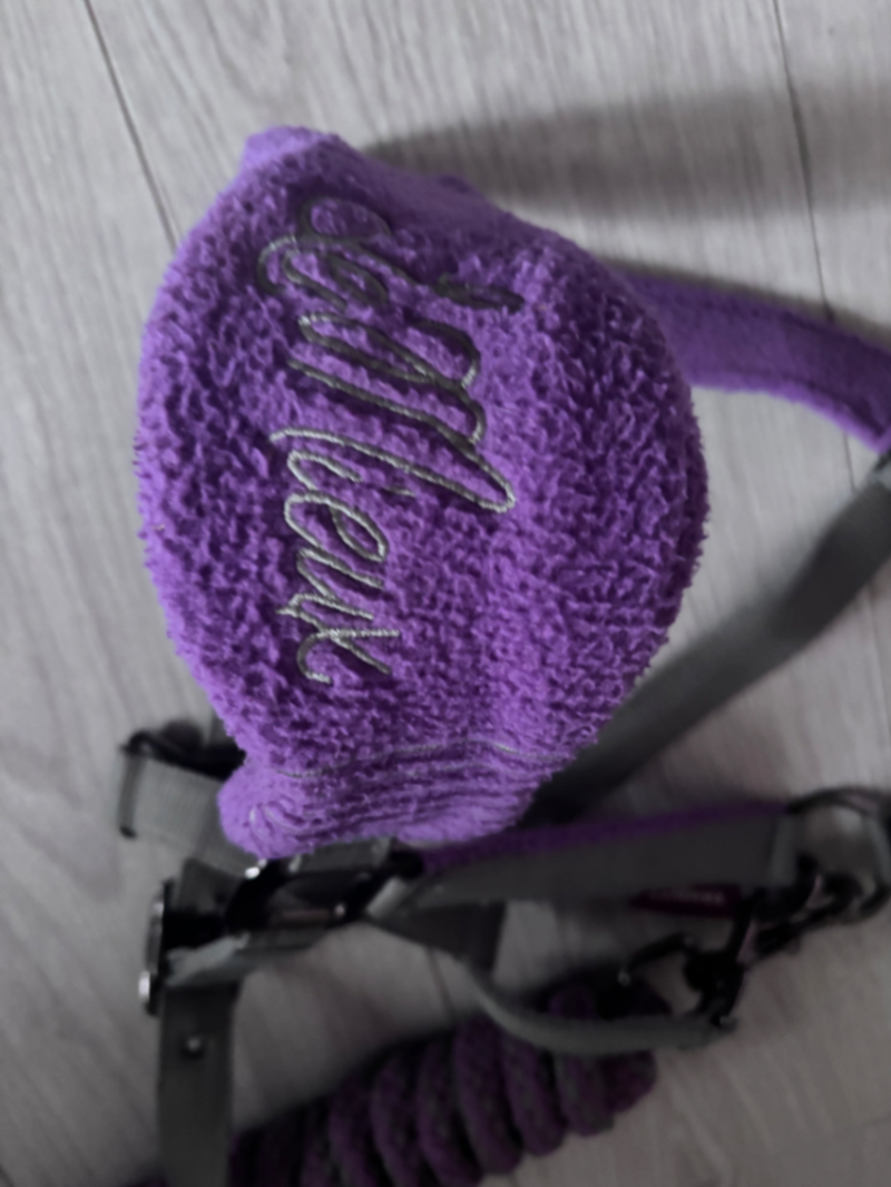 LeMieux lavender headcollar full 