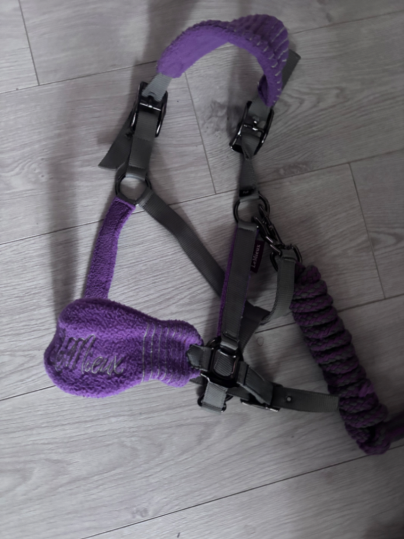 LeMieux lavender headcollar full 