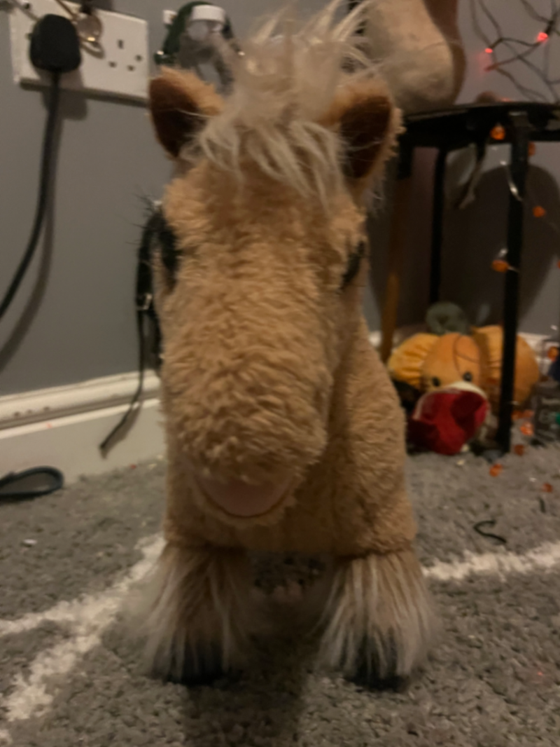 Cloudy Lemieux toy ponie