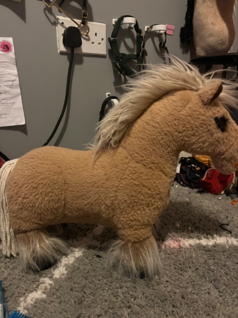 Cloudy Lemieux toy ponie