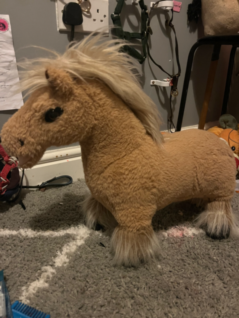 Cloudy Lemieux toy ponie