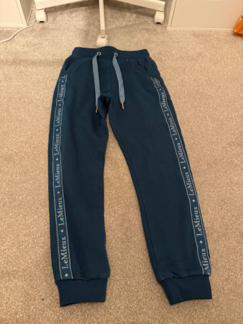 LeMieux Marine Jogger