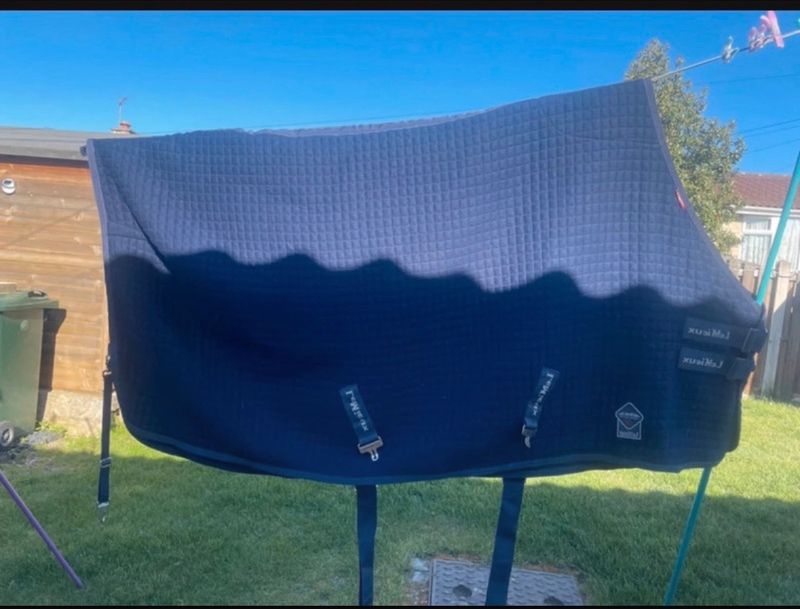 LeMieux Navy cooler 