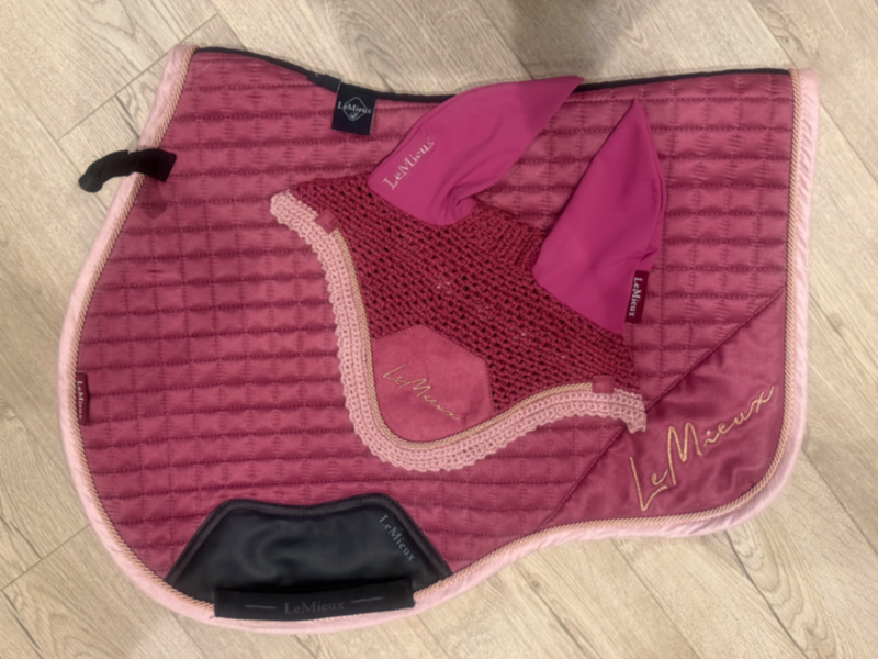 Bijoux Suede GP Square French Rose Large