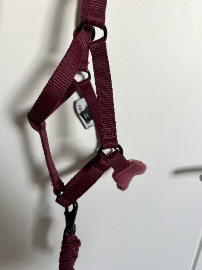 LeMieux Merlot Hobby Horse Vogue Headcollar & Leadrope