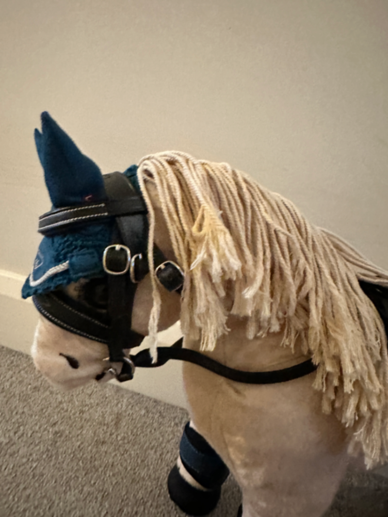 LeMieux Toy pony marine Saddle Pad Fly Hood boots and head collar  Set