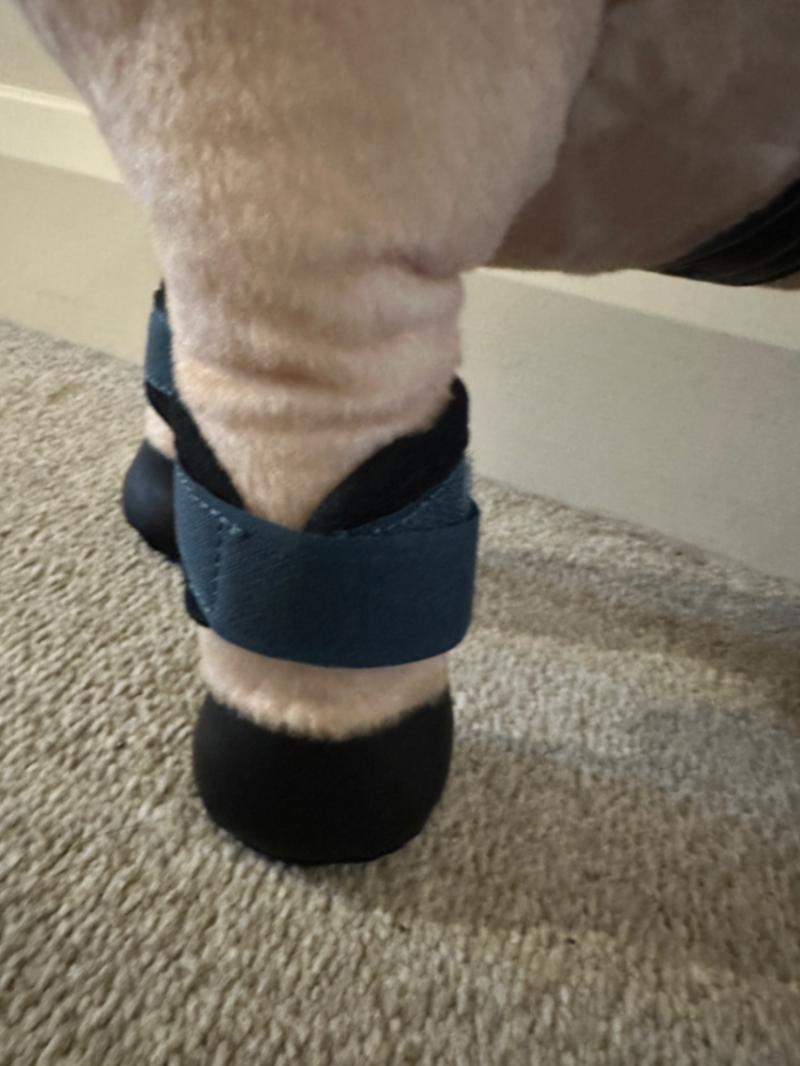 LeMieux Toy pony marine Saddle Pad Fly Hood boots and head collar  Set