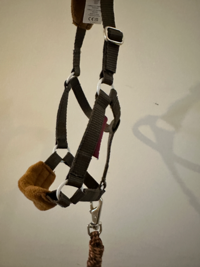 LeMieux ginger Toy Hobby Horse Headcollar & Lead Rope