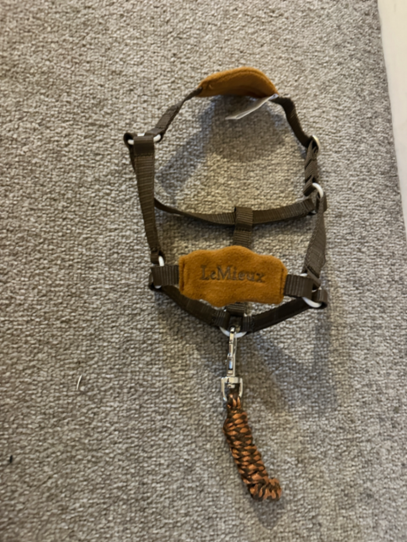 LeMieux ginger Toy Hobby Horse Headcollar & Lead Rope