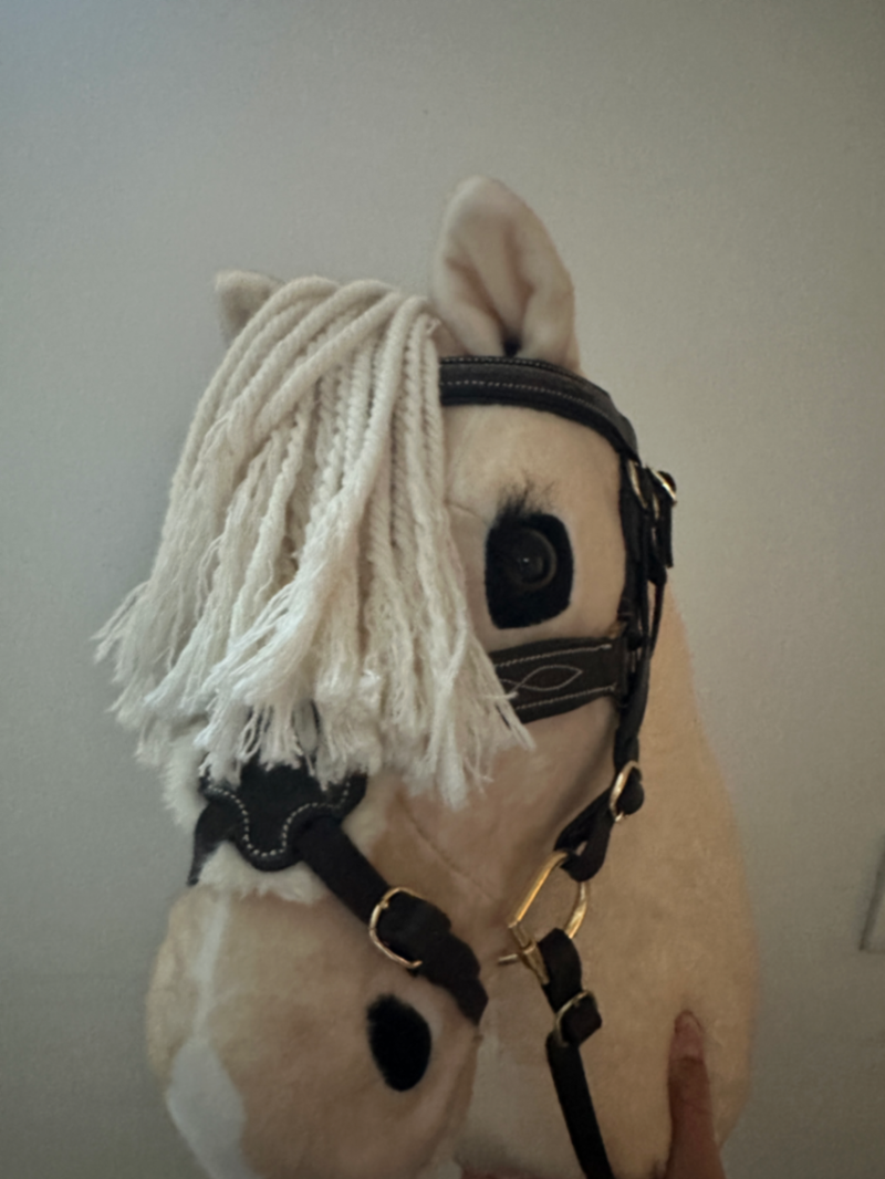 LeMieux Brown Hobby Horse Grackle Bridle
