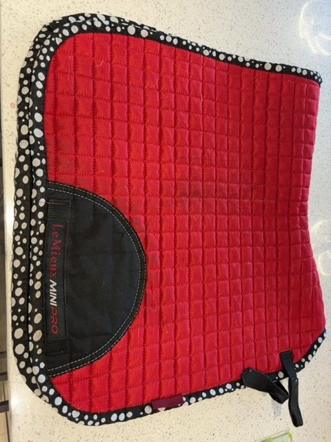 Chilli red mini Lemieux dressage XS 